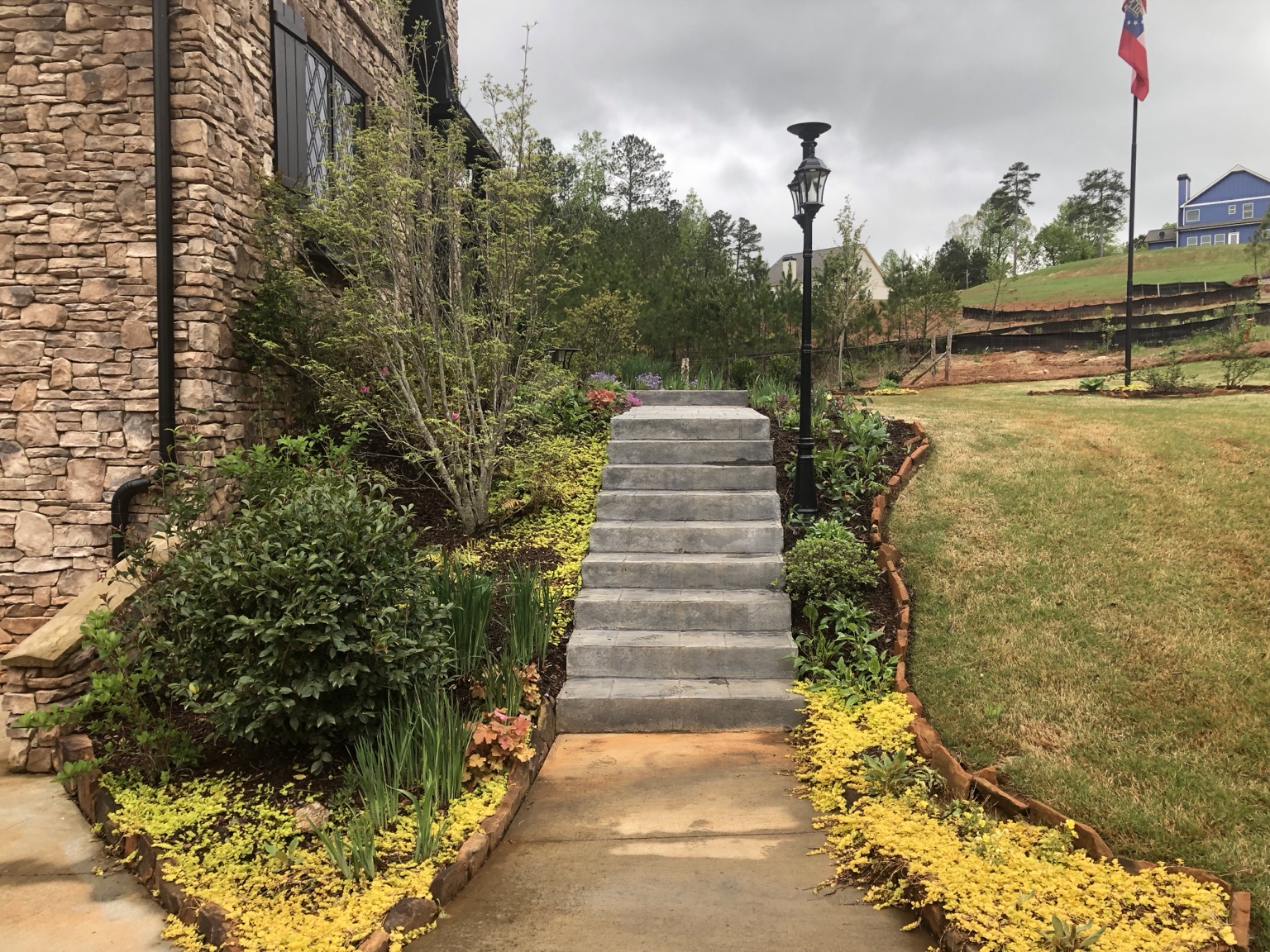 Landscape steps and planting